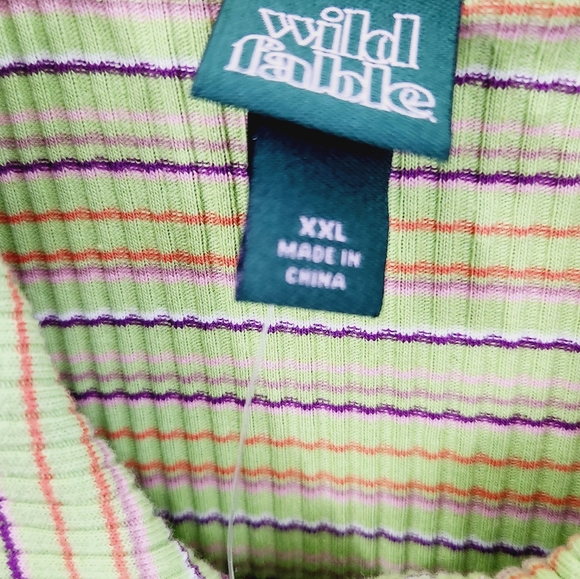 NWT Wild Fable Plus Size Green Apple Striped Dress - Picture 9 of 10